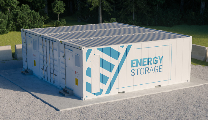 Electric power storage system supply and provision of services for its dispatch
